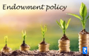 endowment assurance plan