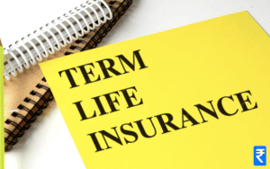 explain term life insurance