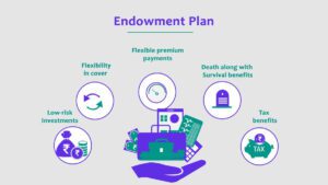 New Endowment Plan